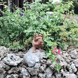 けんたく