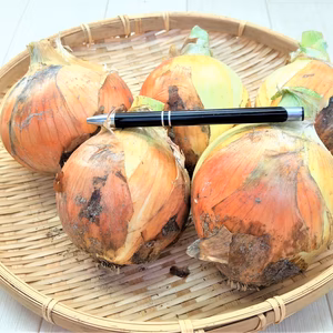 農薬不使用（無農薬）栽培　特大サイズ玉ねぎ約10玉セット（約4.0㎏）