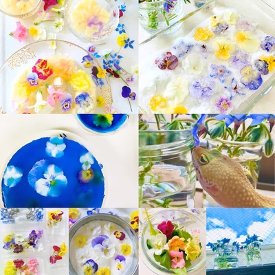 みんなの投稿の画像