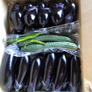 ナス好きさんの❕なす・ナスセット