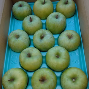 葉とらず完熟王林  約３Ｋ