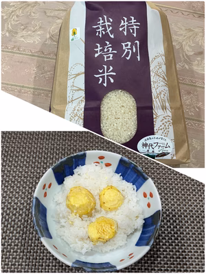 みんなの投稿の画像