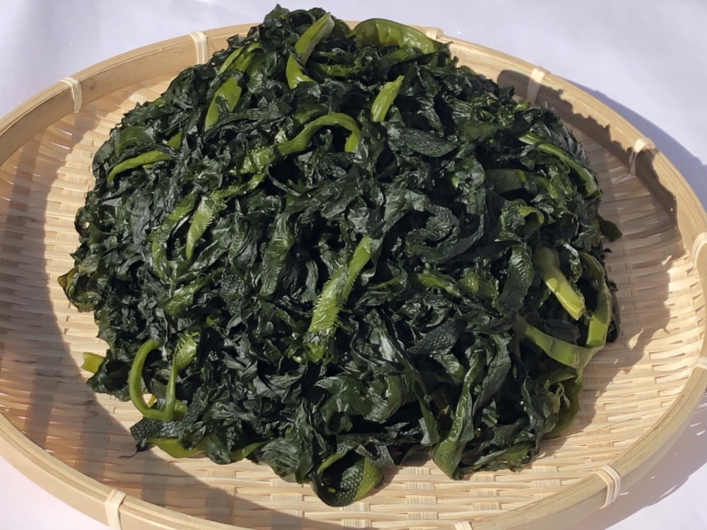 新もの塩蔵ワカメ500g ×21 送料無料】岩手県たのはた産 塩蔵茎付き新芽わかめ500g｜水産加工品の