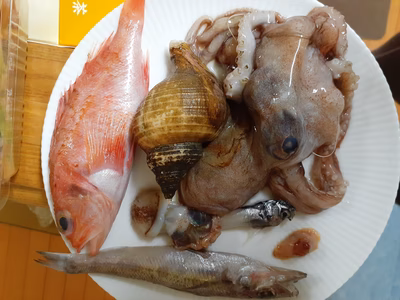 みんなの投稿の画像