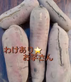 【年末年始も発送☆5kg訳あり】栃木の紅はるか　さつまいも　さつま芋　べにはるか