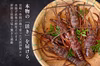 【生】ぷりぷり鮮度の活き伊勢海老（宮崎産｜500g〜）