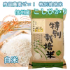 【新米】《白米》【残留農薬ゼロ】つぶ感が人気の信州こしひかり 令和6年産