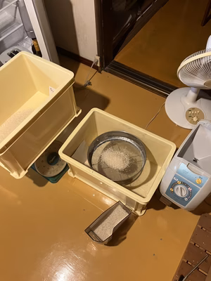 みんなの投稿の画像