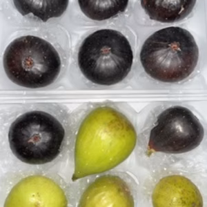 　本日の朝市❗️世界のイチジク食べ比べセット&ビオレソリエス極小玉