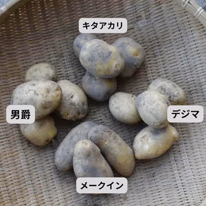 ジャガイモ食べ比べ4種セット
