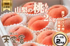 かたい桃(川中島白桃)の3kg(9-12玉)と2kg(6-8玉)１箱・南アルプス
