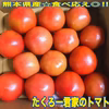 たくろー君家のトマト