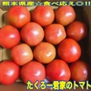 【5月下旬まで】たくろー君家のトマト