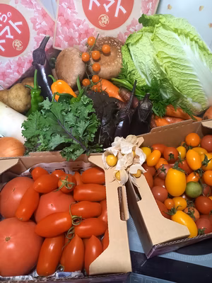 みんなの投稿の画像