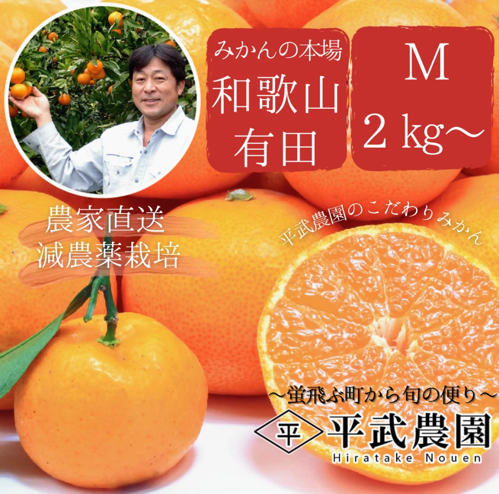 【予約割引】有田みかん｜M2Kg～　農家直送｜和歌山｜有田｜田口｜こだわり