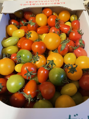 みんなの投稿の画像