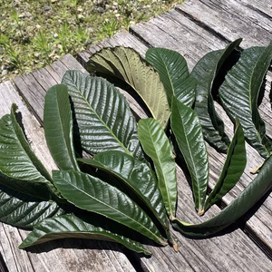 自然なり枇杷の葉（100g）