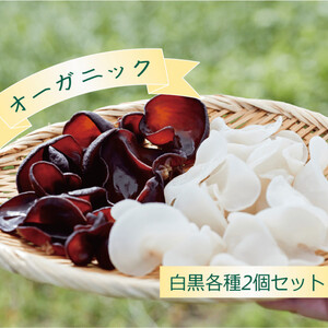 国産！オーガニック生きくらげ100g×2個セット　（黒）