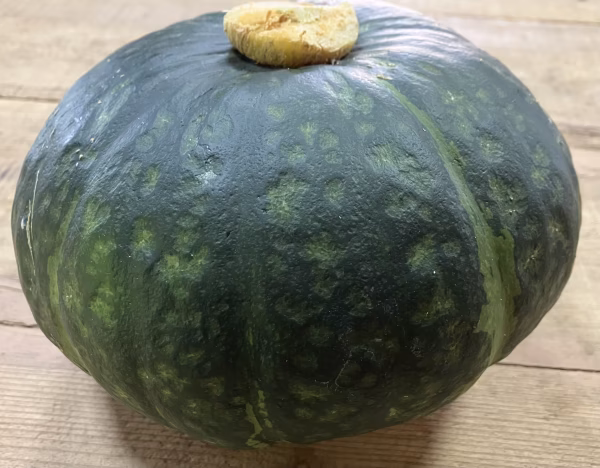 産直　有機かぼちゃ‼️