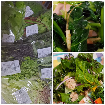 みんなの投稿の画像