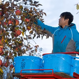 大串 洋 | おおぐし農園２