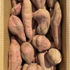【絶品】種子島産 安納芋 B品 (中〜大サイズ)