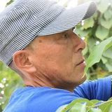 金丸敏彦 | チェリーガーデン嵐