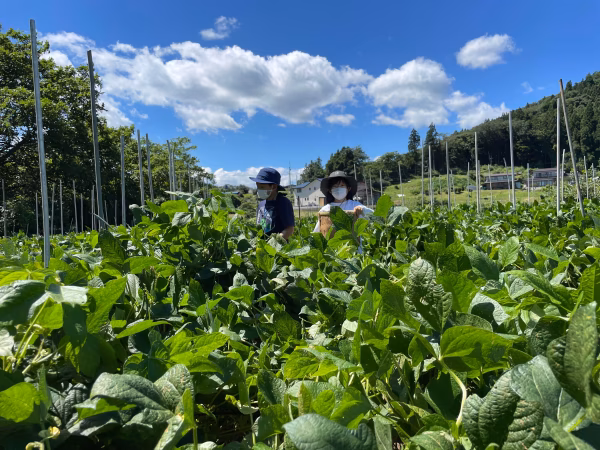 【シルバーウィーク限定】10月8日(土)親子で農業体験 in 岩手