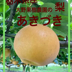 　あきづき　5kg4Lサイズ12個入り　　栃木県産大野果樹農園の梨