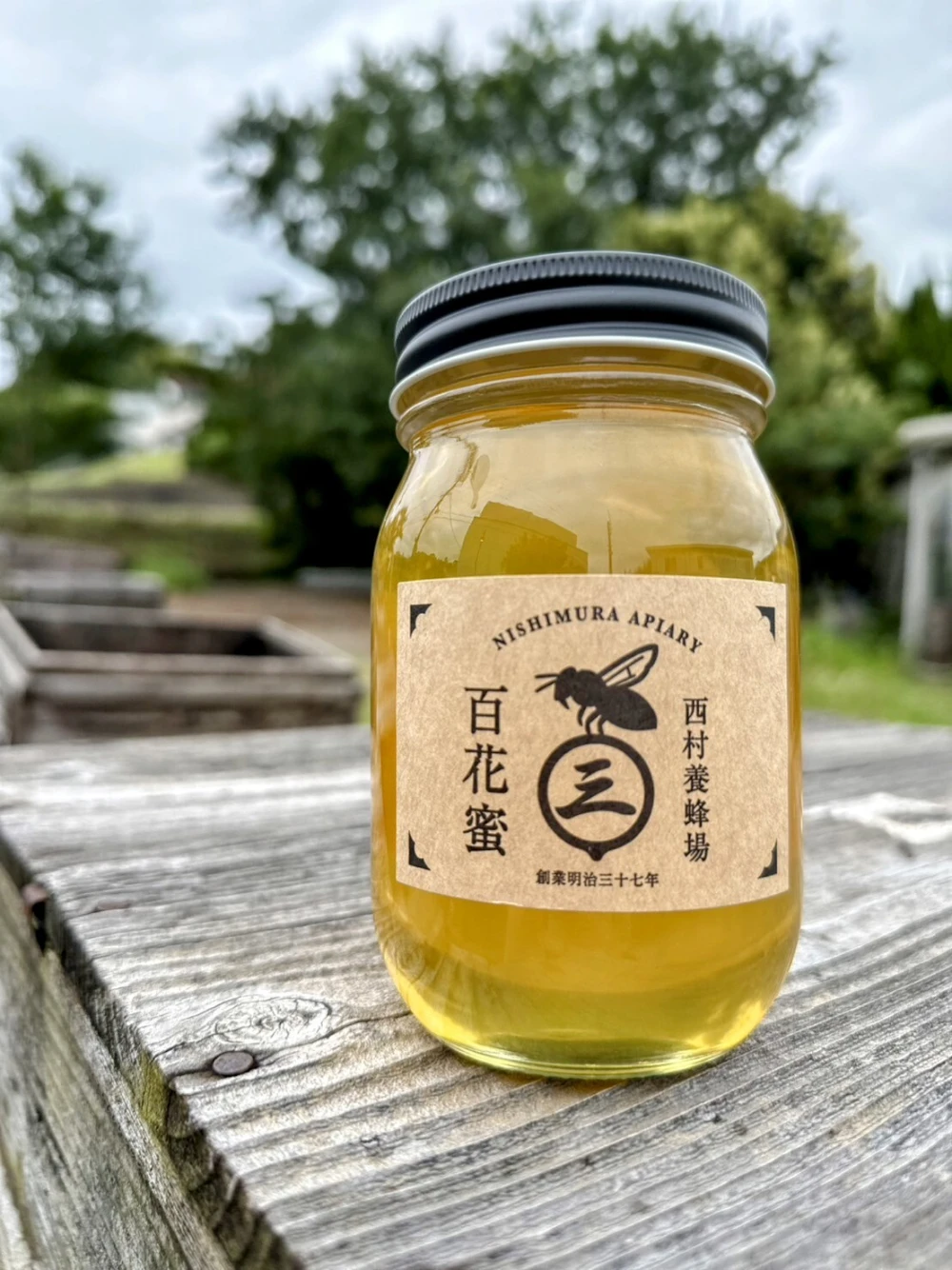 西村養蜂場 味比べセット（2023年みかん蜜 百花蜜・和歌山）