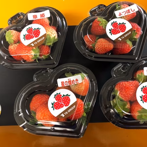 【福袋2022】イチゴ4品種セット（90ｇ×4パック）