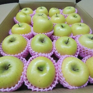 《丸かじり❗️食感抜群❗️濃厚シナノゴールド》お得家庭用