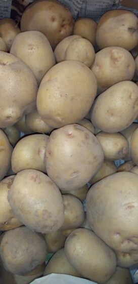 新ジャガ キタアカリ 男爵より甘味 別名 黄金男爵 クリじゃが 農家漁師から産地直送の通販 ポケットマルシェ