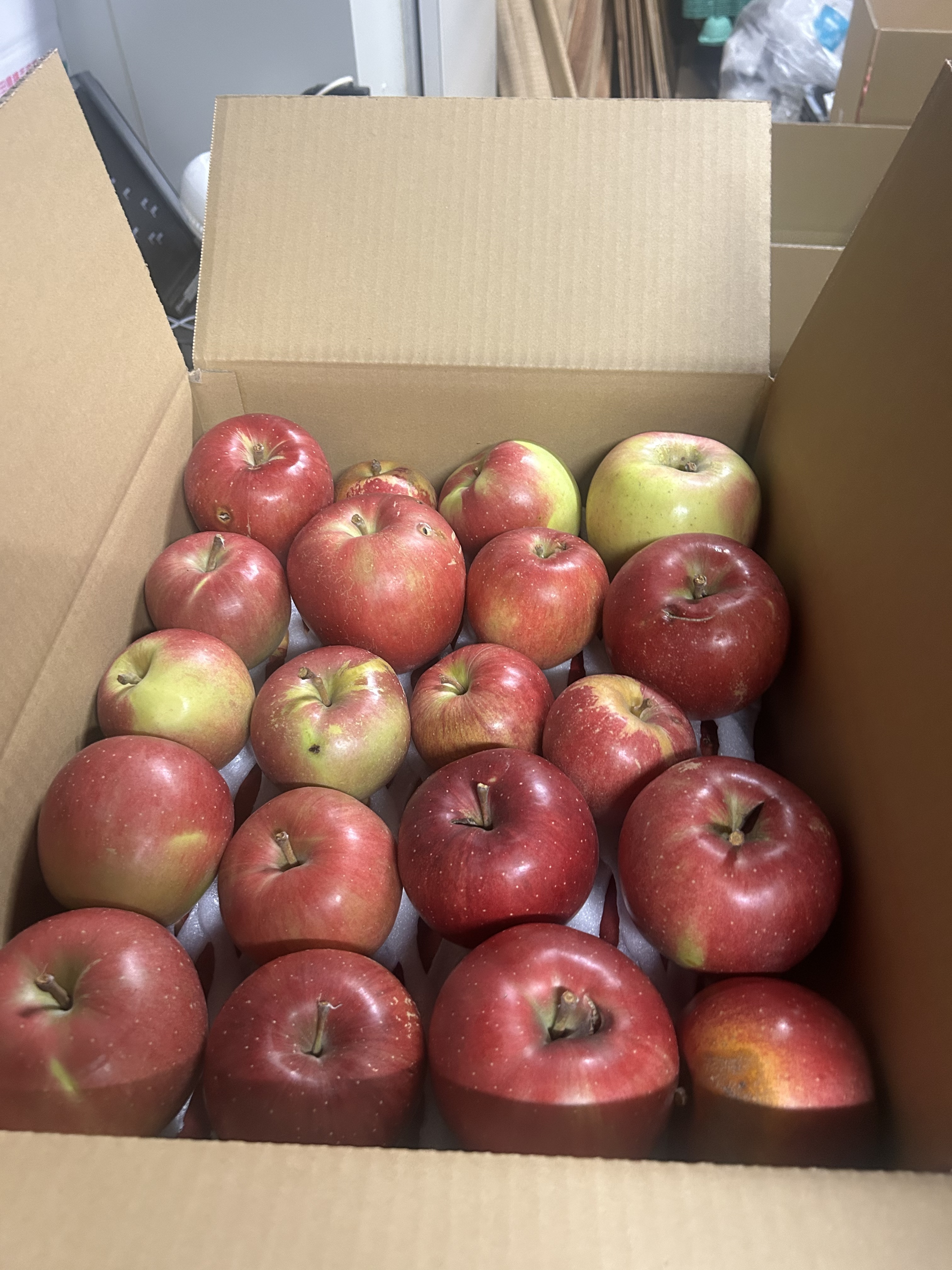 りんご 加工用の産直通販・お取り寄せ商品｜ポケットマルシェ｜産地