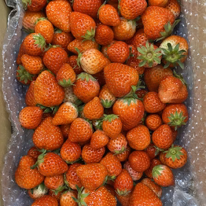 今シーズンラスト！！はなまる農園のこだわりさぬき姫お徳用サイズバラ訳あり1キロ