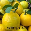 【農薬不使用・ライム】無消毒、農薬・化学肥料不使用、ノーワックス Lime