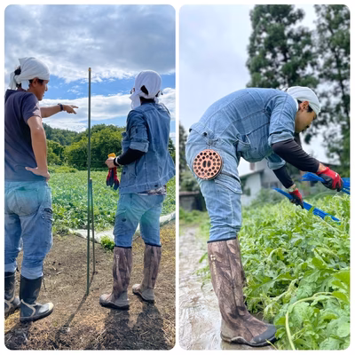 みんなの投稿の画像