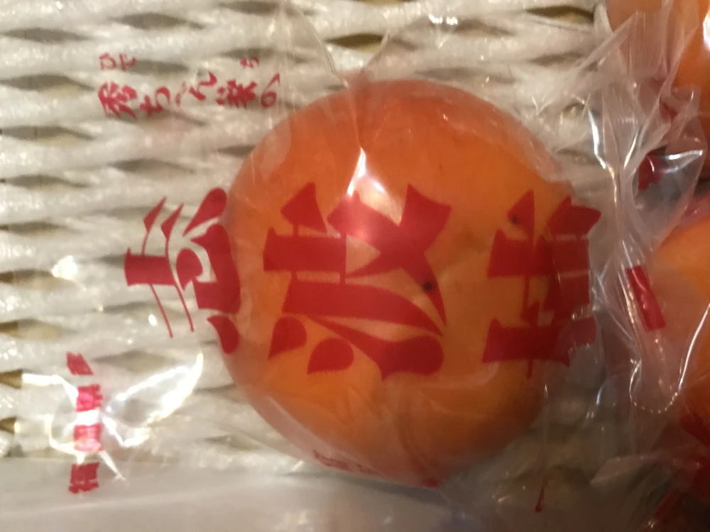 福岡県朝倉市杷木志波産　富有柿　冷蔵柿　贈答用　2Lサイズ一箱12玉入り