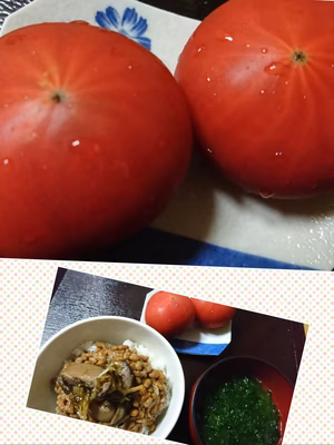 みんなの投稿の画像