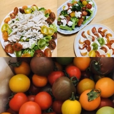 みんなの投稿の画像