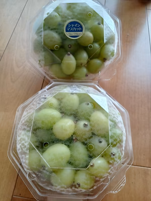 みんなの投稿の画像