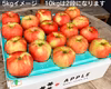 特別栽培の葉とらずりんご 早生ふじ「ほのか」甘酸適和 減農薬で皮ごと安心 良品