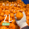 【完熟有田みかん】宮川早生　5キロ2L 家庭用　温州みかん　低農薬　早生みかん