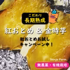 【2023福袋】送料無料★熟成極甘紅乙女＆ホクホク金時食べ比べ★3→3.5kg