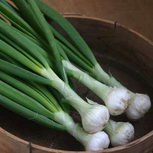 春を先どり！甘くてやわらか★葉たまねぎ