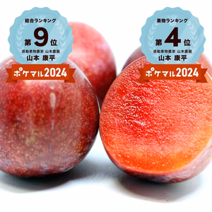 【クール対応】6月中下旬発送予約”完熟”メスレースモモ【サクランボサイズ】
