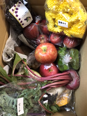 みんなの投稿の画像