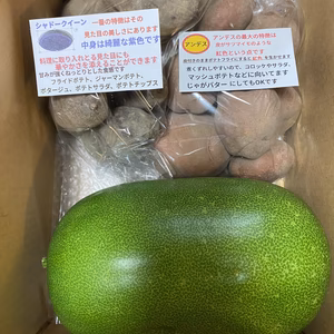 姫とうがんと珍しいジャガイモ２種セット（栽培期間中無農薬）