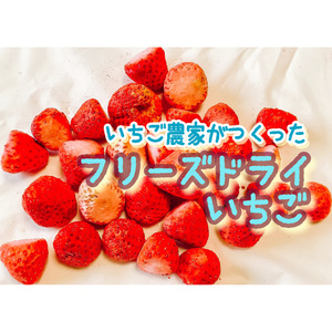 ☆【いちご農家がつくった】国産フリーズドライいちご(固形・20g)