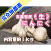 【完全無農薬】青森県産《生》にんにく【期間限定】